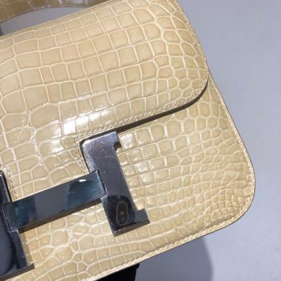 wholesale quality hermes constance 19 shinny niloticus crocodile 12 nata phw
